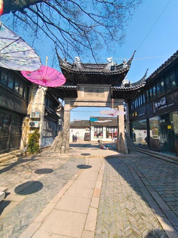 救援小棕兔